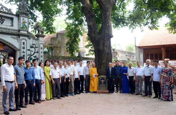 Cây[-]đầu[-]tiên[-]ở[-]thị[-]xã[-]Thuận[-]Thành[-]được[-]vinh[-]danh[-]Cây[-]Di[-]di[-]sản[-]Việt[-]Nam